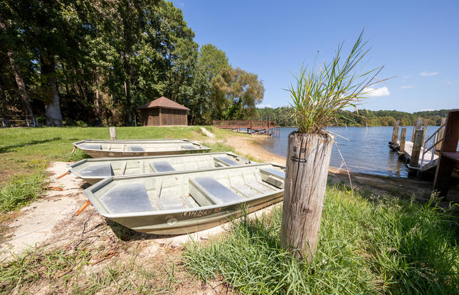 Three flat-bottomed boats on the shore of the lake at North Toledo Bend State Park.
