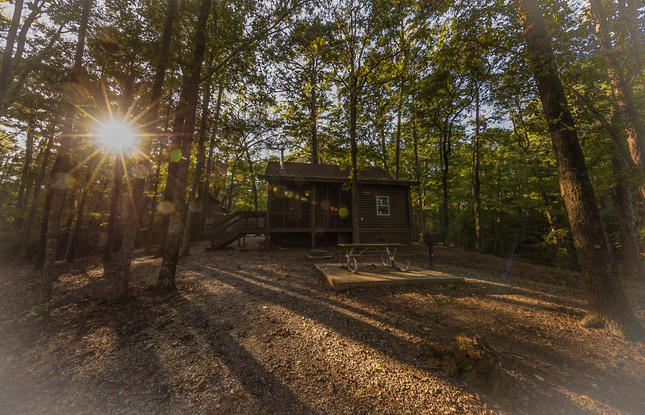 A cabin hidden by trees at North Toledo Bend State Park.