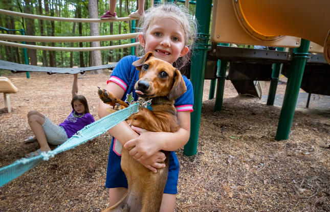 Little girl holding her dachshund at the park.