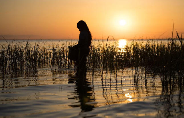 Where The Crawdads Sing