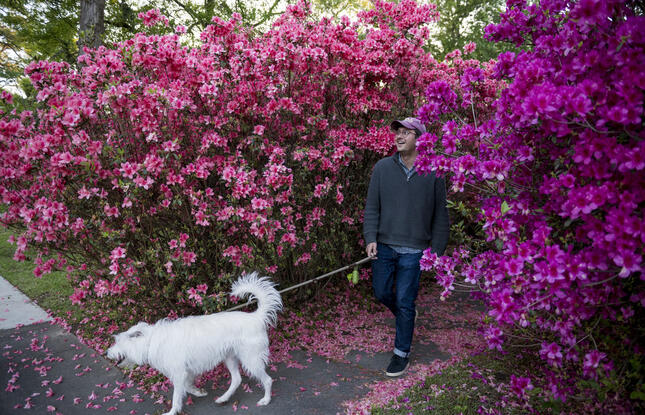 Azalea Trail Lafayette