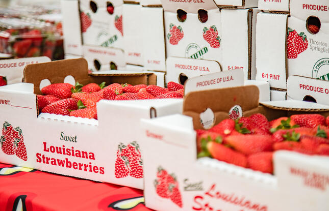 A flat of fresh Louisiana strawberries.