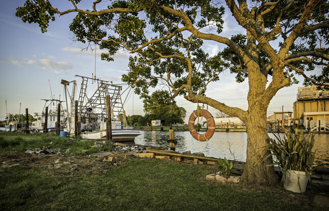 Take in the quiet scenes while kayaking in Louisiana.