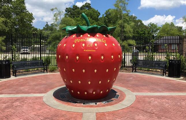 Ponchatoula's strawberry "mascot"