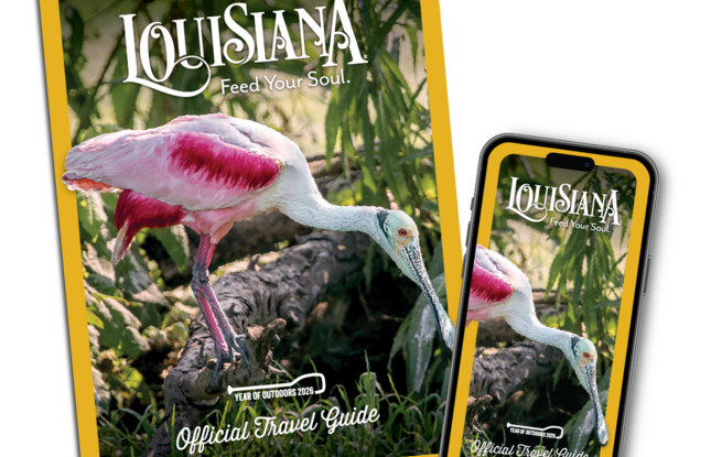 Official Travel Guide cover and mobile view