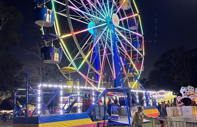 A Ferris wheel lit up in the foreground of the night sky