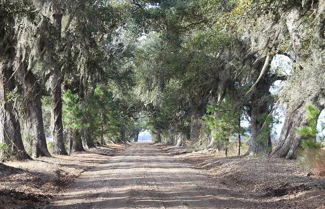film trail in louisiana
