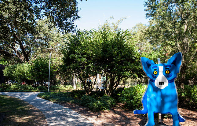 Visit the Blue Dog Sculpture at the Besthoff Sculpture Garden New Orleans