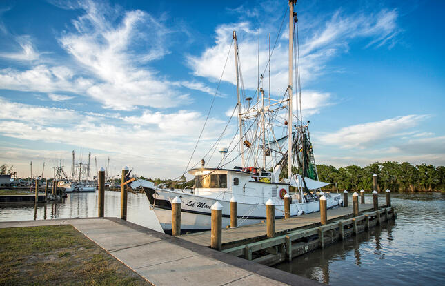 shrimp boats