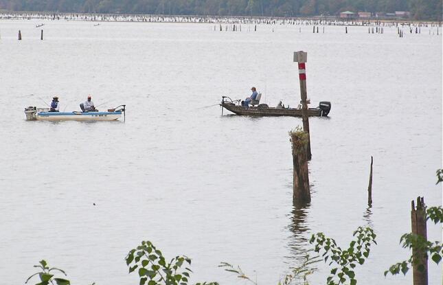 Anglers fishing from small boats on Lake D’Arbonne in Louisiana.