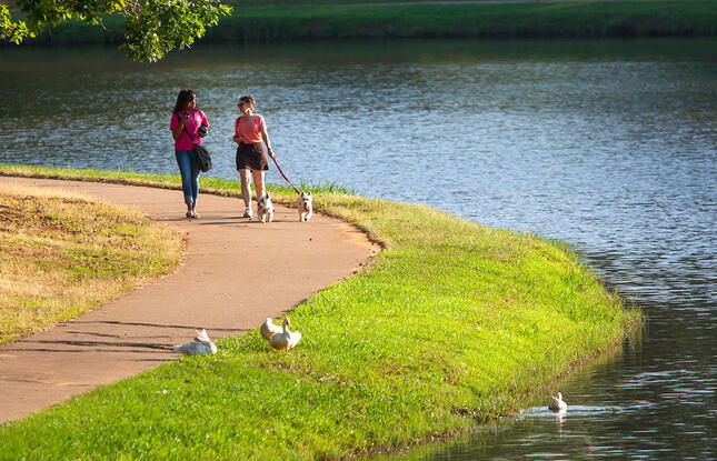 Walking the paved path at Lincoln Parish Park in Ruston, Louisiana