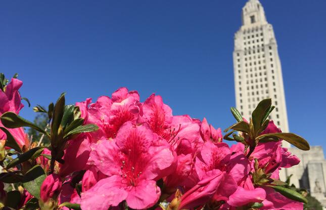 Flowers and the Louisiana State Capitol in Baton Rouge, Louisiana