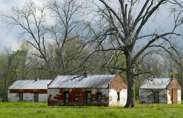 Magnolia Plantation