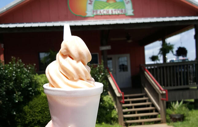 Peach soft-serve ice cream at Micham Farms Peach Store in Louisiana