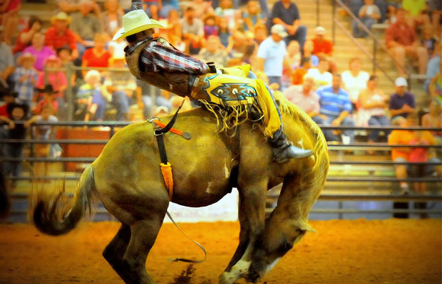 Head to the Rodeo in Tangipahoa Parish