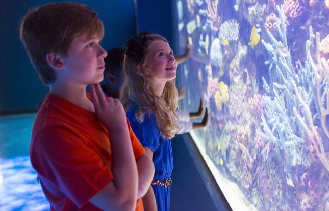 Best Things To Do in Shreveport, Louisiana  