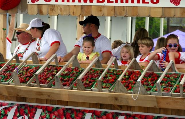 Families and vendors gathering behind a stand at the Ponchatoula Strawberry Festival in Louisiana.