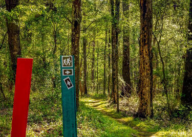 Eddie D. Jones State Park
