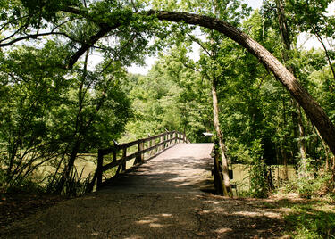 Lake Fausse Pointe State Park near Lafayette.