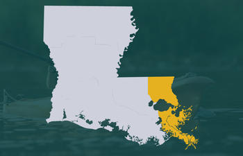Greater New Orleans Area Map