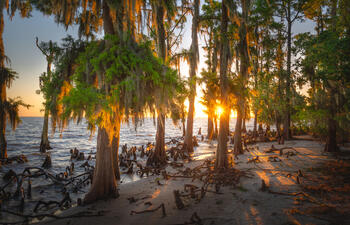 Fontainebleau State Park