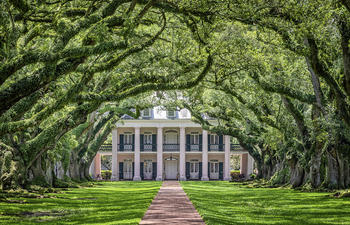 Oak Alley Plantation