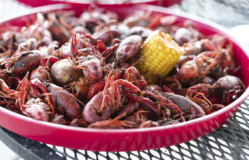 Crawfish Haven/Mrs. Rose’s Bed and Breakfast 