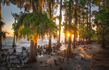 Fontainebleau State Park 