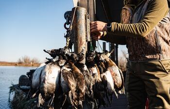 Duck hunting in Louisiana.