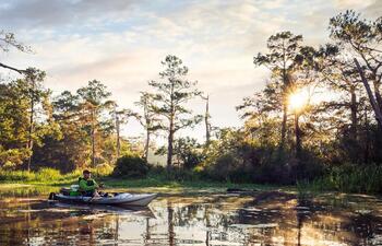 A kayaker floats through a bayou in autumn.