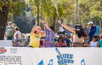 Bluesberry Fest