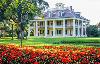 A grand Southern plantation-style mansion with towering white columns sits behind vibrant red flowers and sprawling oak trees.