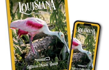 Official Travel Guide cover and mobile view