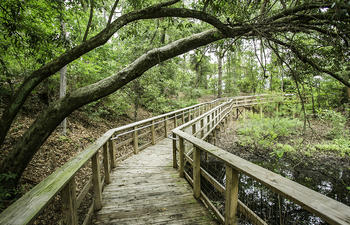Boardwalks at Fort Randolph and Buhlow State Historic Site