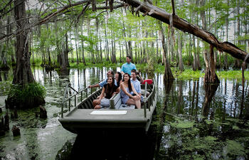 Honey Island Swamp Tour, St. Tammany Parish Louisiana
