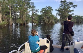 Louisiana swamp tour