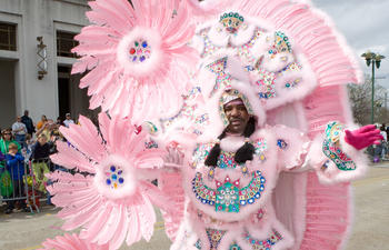 Mardi Gras Indian at Mardi Gras in Lafayette Louisiana