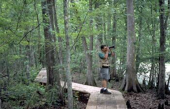 LakeFaussePointe-boardwalk.jpg