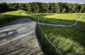 View from atop Mound A at Poverty Point World Heritage Site.