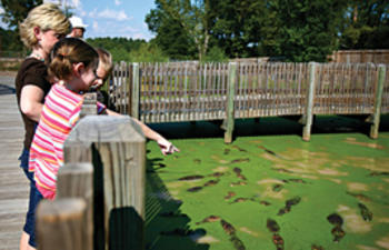 Top Things to Do with Kids in Northern Louisiana