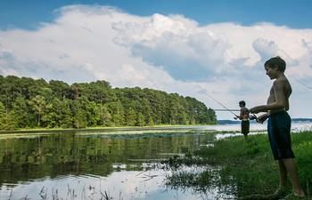 Shore Fishing