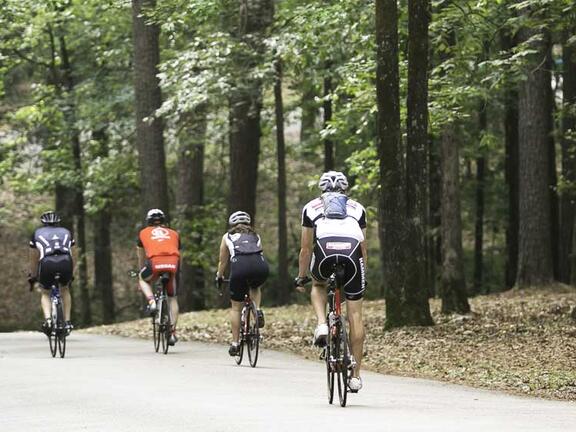best bike helmets with mips Best Road Bike Helmets of 2026