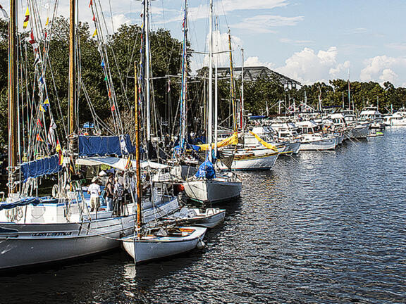 Mandeville