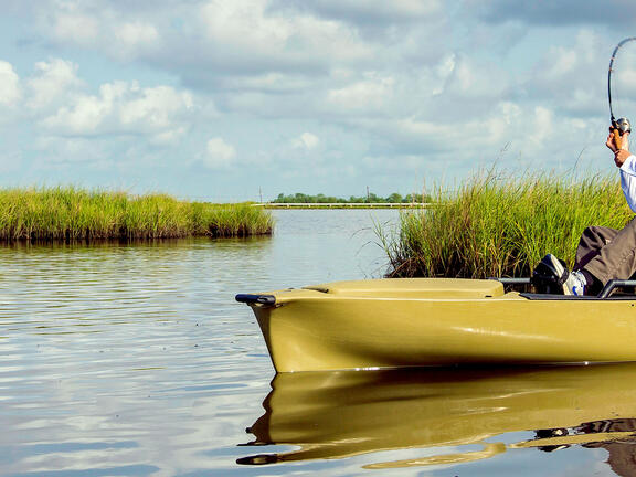 Fishing In Louisiana