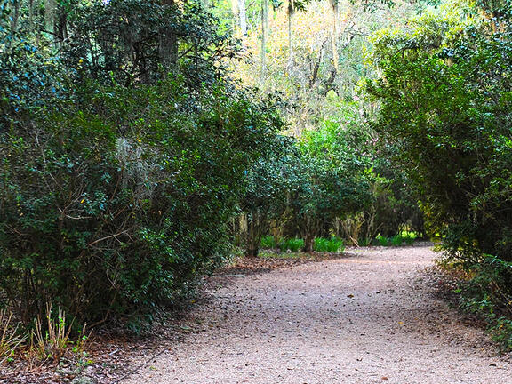 Historic Districts &amp; Sites in Louisiana