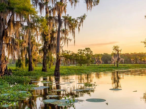 Louisiana Sunshine Plan