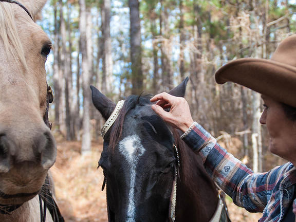 Horseback Riding in Louisiana
