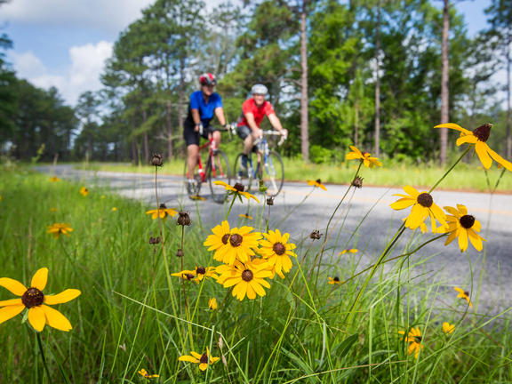 Biking through Kisatchie National Forest