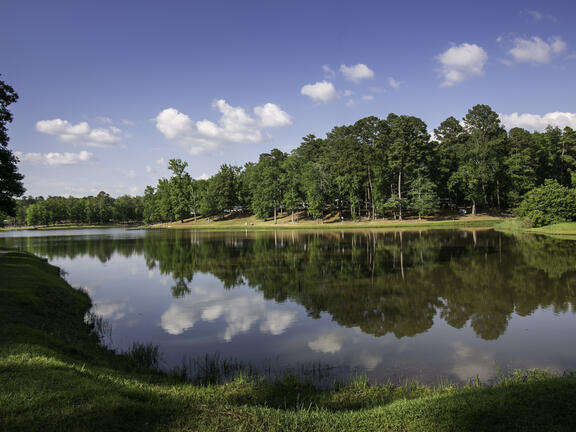 Lincoln Parish Park. Credit: Ruston Lincoln Parish CVB