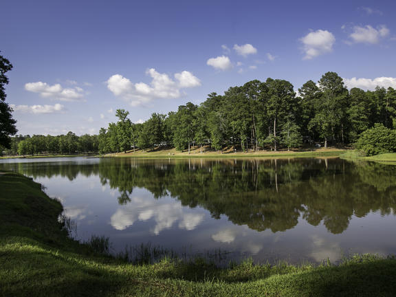 Lincoln Parish Park. Credit: Ruston Lincoln Parish CVB